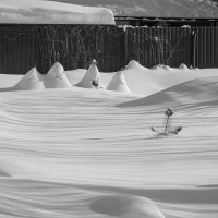 Без названия :: Владимир Носов