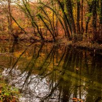 Речка Черная. :: Сергей Воротников Речка Черная. :: Сергей Воротников