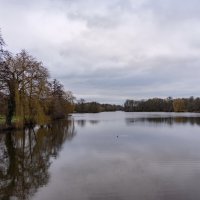 Январское... :: Николай Гирш