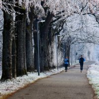 Утро начинается с пробежки :: Юрий. Шмаков