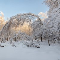 Под минус двадцать! :: Сергей Татаринов