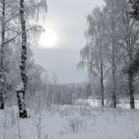 *** :: Андрей Дурапов