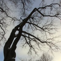 Парк Александрия :: Наталья Герасимова