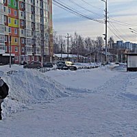 Февраль...Школьник у перекрестка улиц Ленина и Нефтяников"! :: Владимир 
