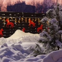 Купание красных коней :: Maria Rainer