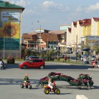 САЛЕХАРД. ЯМАЛ :: Tata Wolf