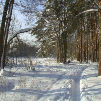 Февральский денек :: Вячеслав Минаев