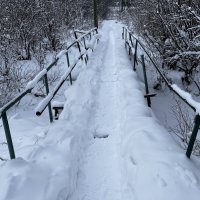 Заснеженный мостик через речку Ситик :: Светлана Грызлова