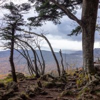 *** :: ирина )))