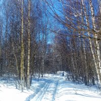 прогулка на лыжах :: Владимир 