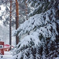 В  городском парке :: Галина Нестратова