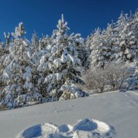 Ангел прилетал :: Наталья Димова