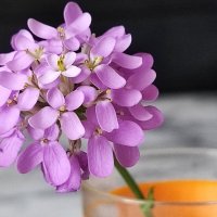 ,,, :: Сергей Тимоновский