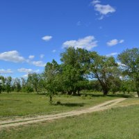 Донская степь. :: Виктор 