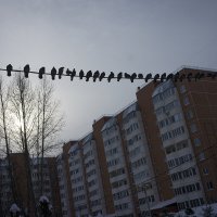 Без названия :: Владимир Носов