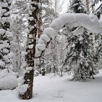 Принарядились :: Павел Трунцев