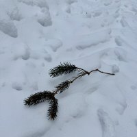 След елочкой) :: Любовь 