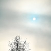 Свет сквозь тучи :: Роман Алексеев