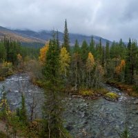 Осенний остров............ :: Юрий Цыплятников