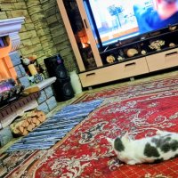 Субботний вечер у камина. :: Михаил Столяров