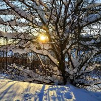 Из недопоказанного в январе :: Андрей Лукьянов Из недопоказанного в январе :: Андрей Лукьянов