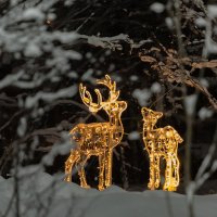 Зимние фигуры :: Андрей C