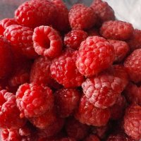 PRO лето ... :: Алёна Савина PRO лето ... :: Алёна Савина