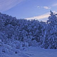 Новогоднее утро---01 :: Владимир Холодный