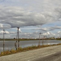 р.Обь :: Tata Wolf