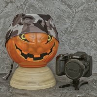 (°-°) :: Jakob Dick