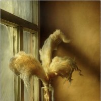 *** :: Oleg Rastorguev