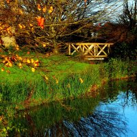 Осень :: Юрий. Шмаков