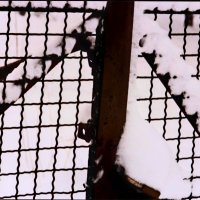 Южная зима - 26 :: Алексей Кузнецов