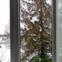 Вид из окна на зиму :: Юлия Денискина