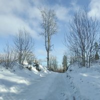 зимние пейзажи :: ИННА ПОРОХОВА