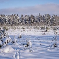 следы и следочки :: Galina 