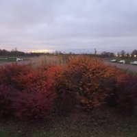 Осень :: Сапсан 