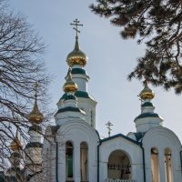 Купола Никольского храма в городе Армавир :: Игорь Сикорский