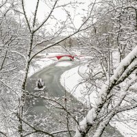 В зимнем парке :: Виктор Позняков