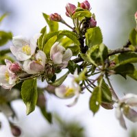 Весна не за горами 6 :: Николай 