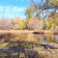 Озеро у дома :: Надежда 