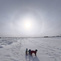 Последний день календарной зимы :: Anna Ivanova