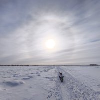 Март :: Anna Ivanova