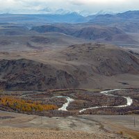 ***** :: владимир 