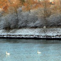 Первые заморозки :: В.И 