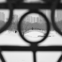 Головинские пруды :: Мария Яковлева