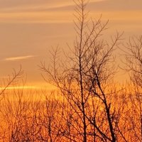 Закат сегодня :: Наталия 