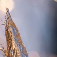 «Хрустальные осколки зимы». :: Екатерина Счасная