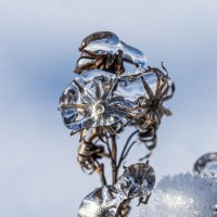 «Кристаллы зимы». :: Екатерина Счасная