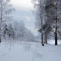 *** :: Андрей Дурапов